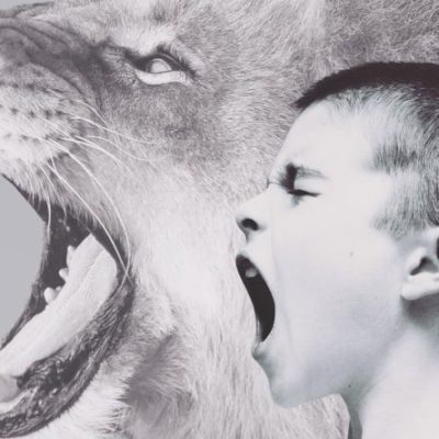 38177B59-105F-462D-8818-733DCAA53A71-900x444